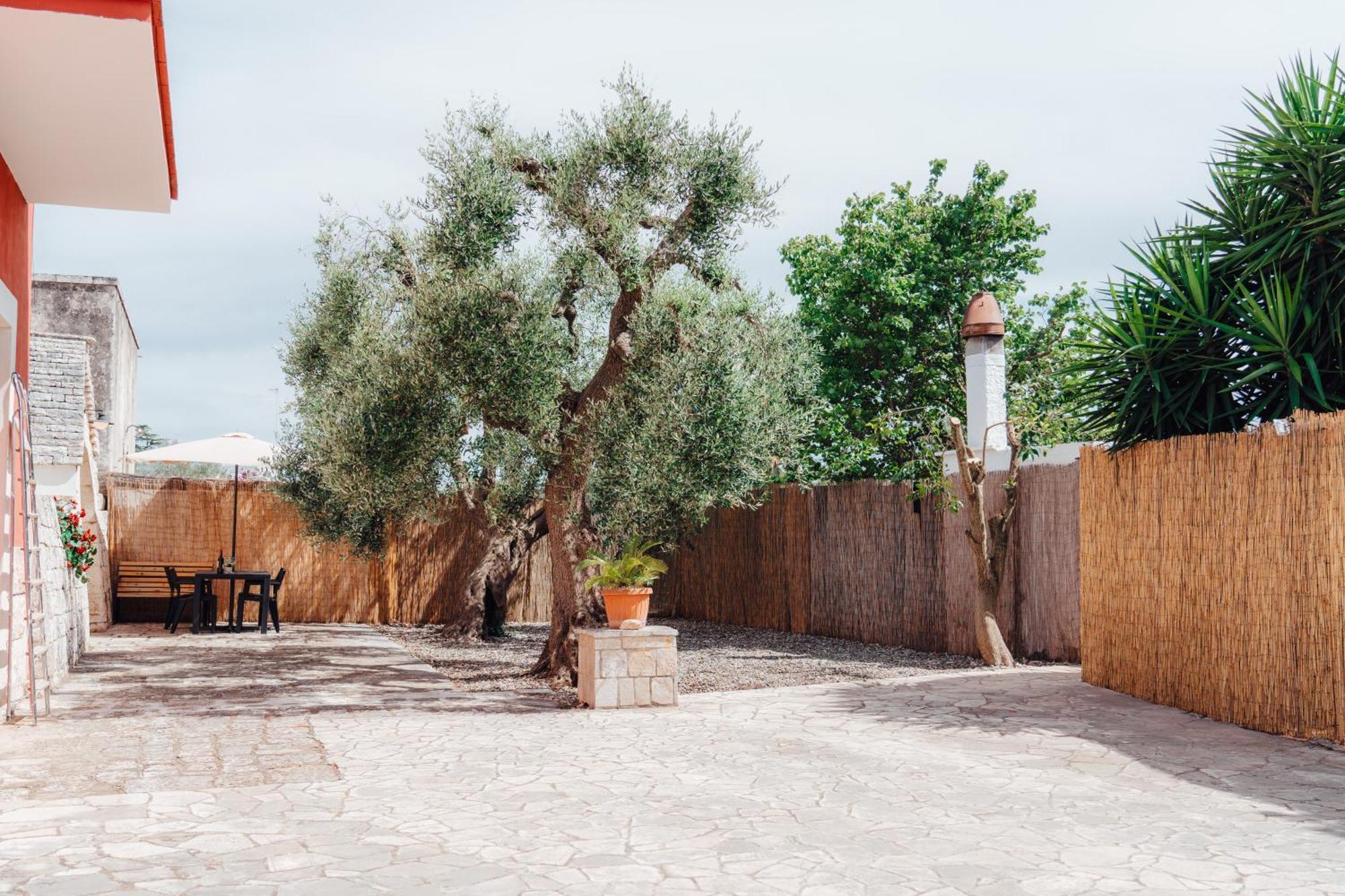 Loli Trulli - Guest House Castellana Grotte Bagian luar foto